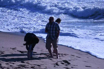 DSC_0396 (Large).JPG